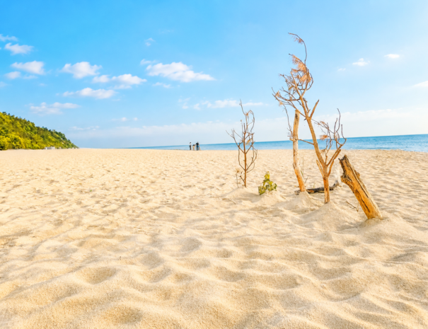magic sand